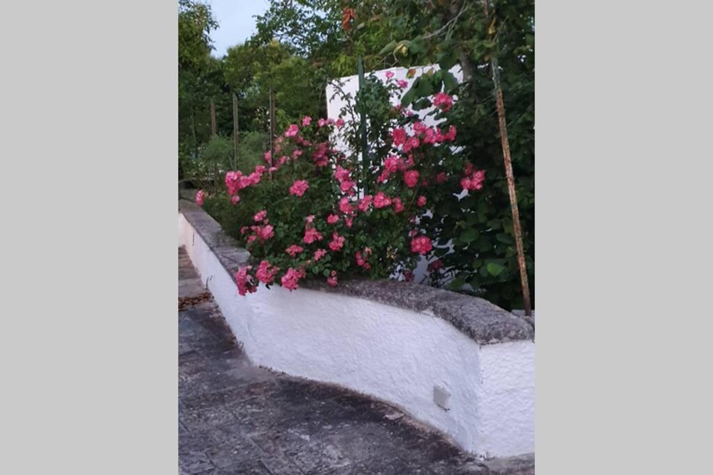 Trulli Relax A Martina Franca Villa ภายนอก รูปภาพ