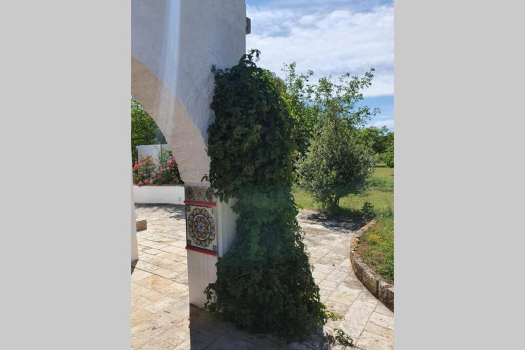 Trulli Relax A Martina Franca Villa ภายนอก รูปภาพ